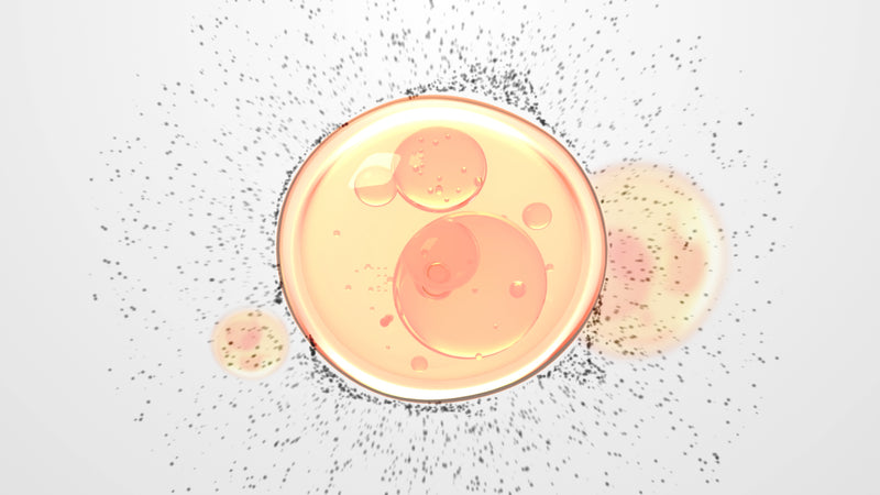 L-Glutamina | L Glutamine, Seed of Youth